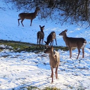 Meet your Posher, Jeron